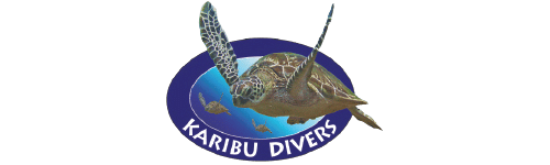 Duikschool Karibu Divers