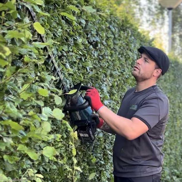 tuinonderhoud hovenier heg snoeien