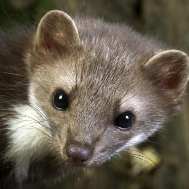 iStock 1253997632 scaled